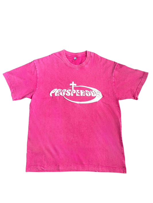 Pink Prosperous Apparel "Philippians
4:19" Vintage Tee